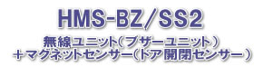 BZ-SS2-02